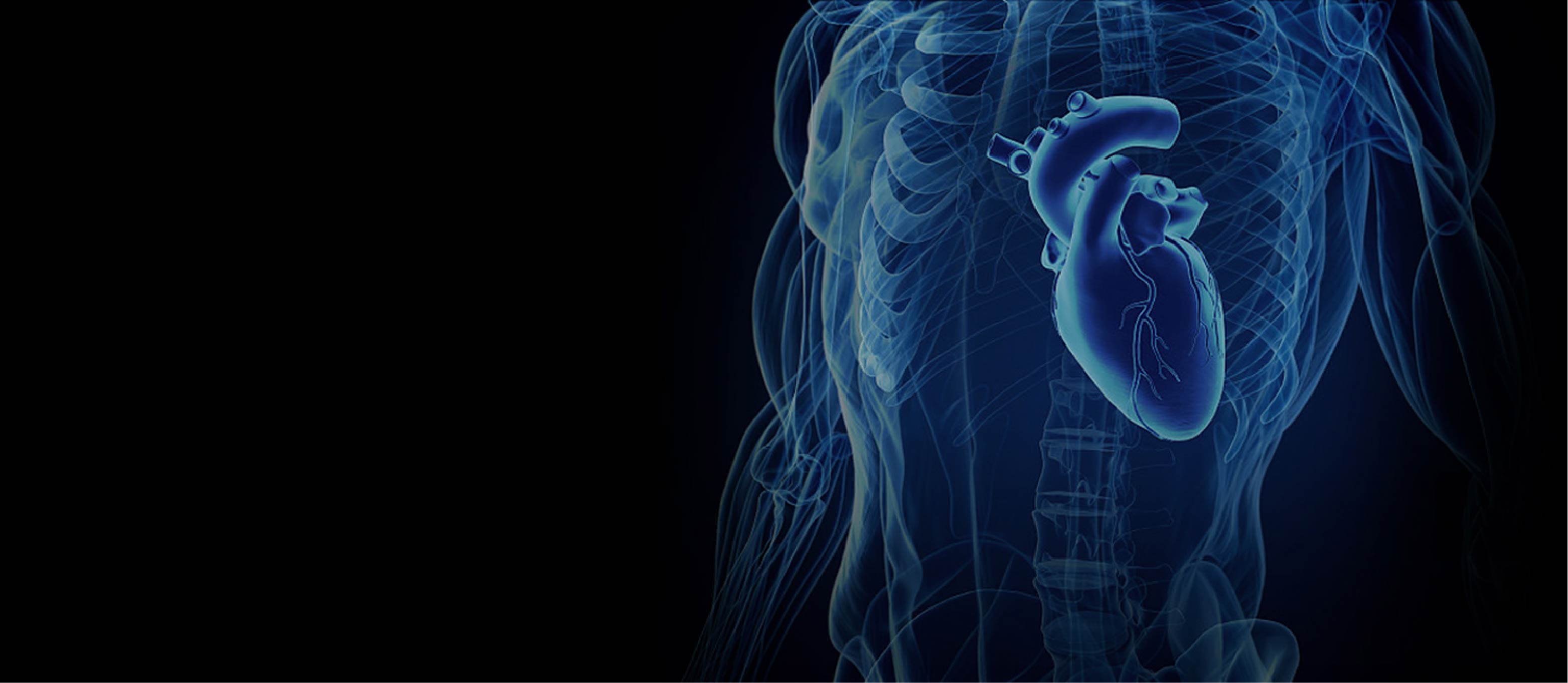 WM视讯·(中国大陆)官方网站