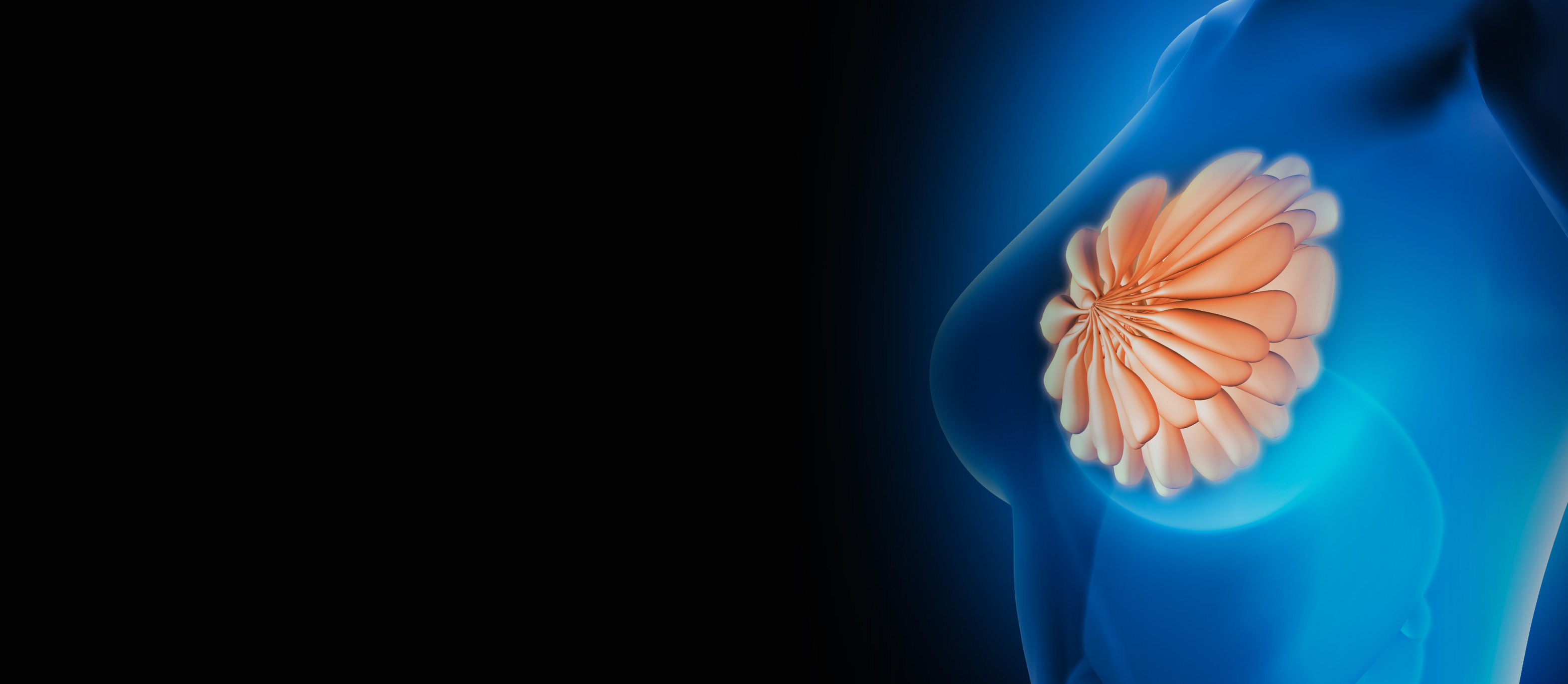 WM视讯·(中国大陆)官方网站